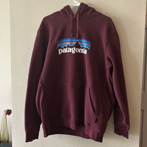 Men’s Patagonia Hoodie